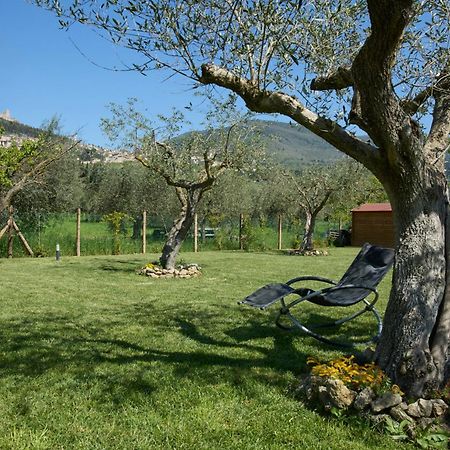 Il Granaio Di Rossetti Elisabetta Hotel Assisi Bagian luar foto