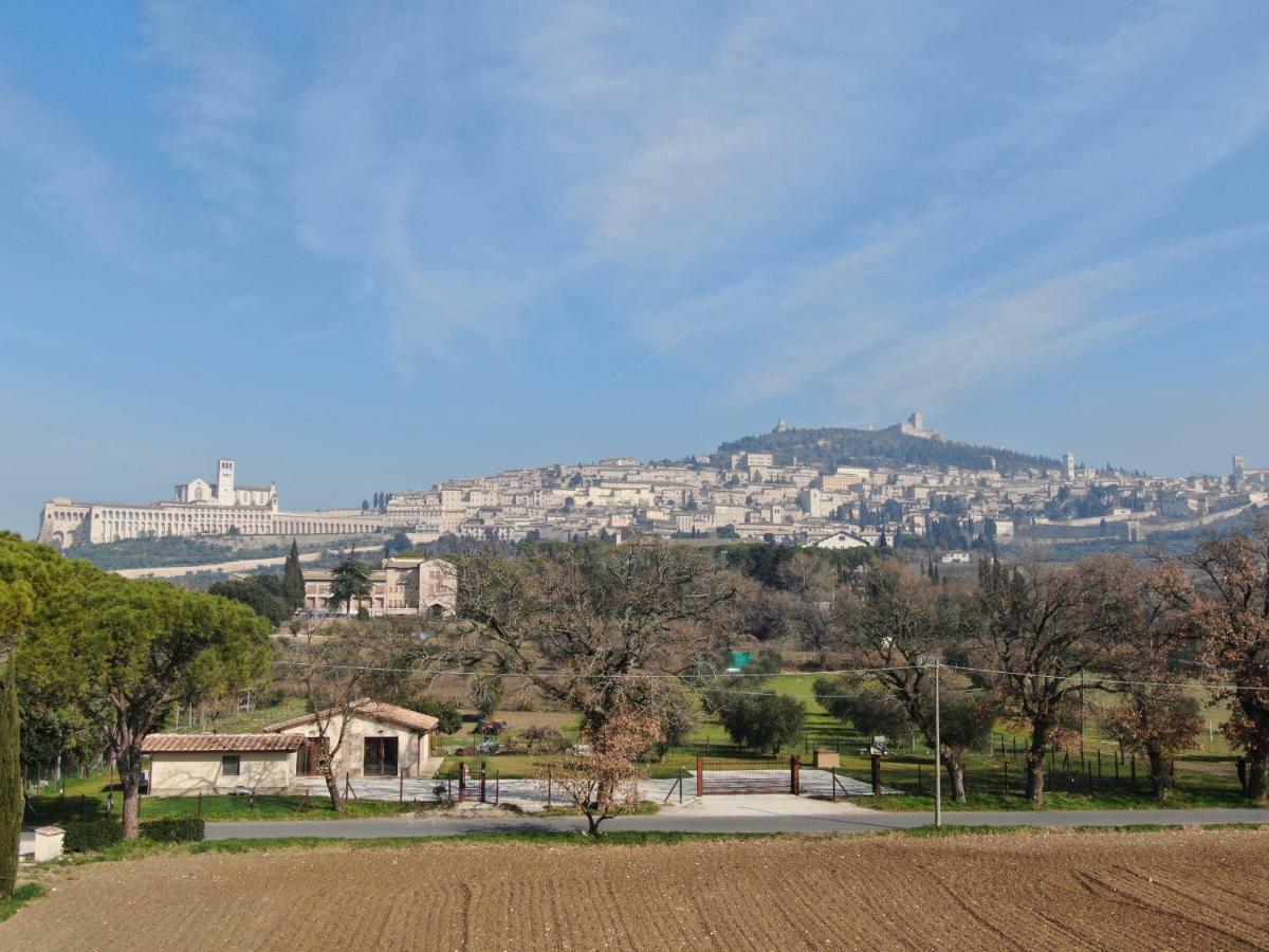 Il Granaio Di Rossetti Elisabetta Hotel Assisi Bagian luar foto